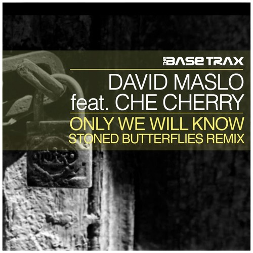 Only We Will Know cover art
