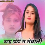 कडचू हांडी म मेवाती