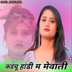 कडचू हांडी म मेवाती