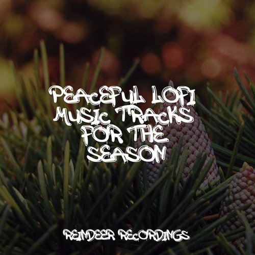 Peaceful Lofi Music Tracks for the Season_poster_image