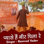 Pyase hein neer pila re (Hindi)