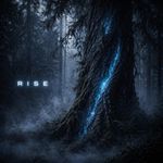 Rise