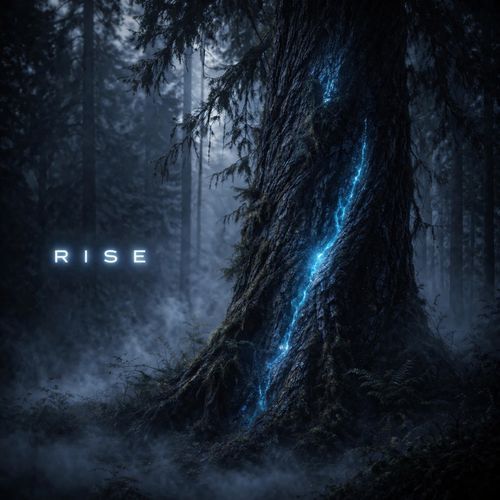 Rise