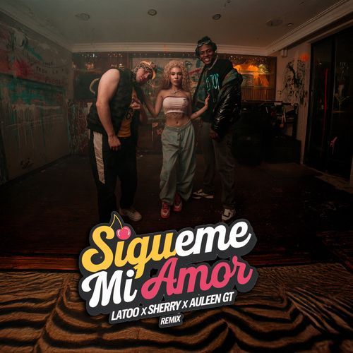 Sigame mi amor (Remix)