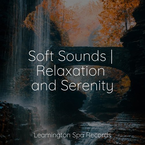 Soft Sounds | Relaxation and Serenity