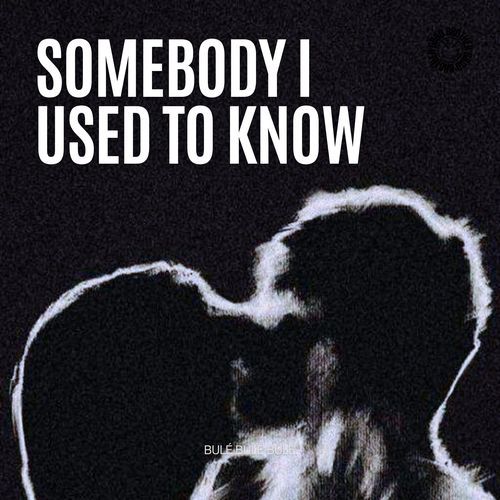 Somebody that i used to know (House)