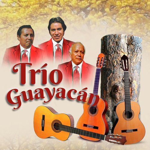 Los Mirlos cover art