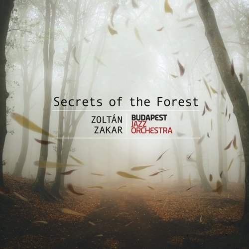 Zoltán Zakar: Secrets of the Forest