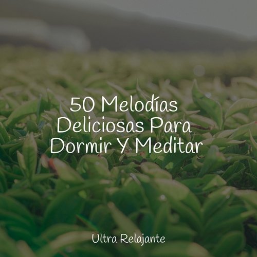 50 Melodías Deliciosas Para Dormir Y Meditar