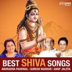 Best Shiva Songs