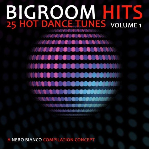 Bigroom Hits, Vol. 1