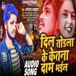 DIL TODHLA KE KETNA DAM BHAIL (BHOJPURI)