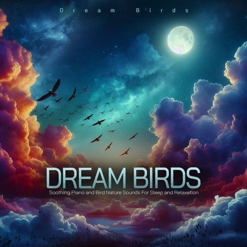 Bird Lullaby