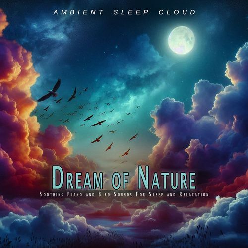 Sleepy Forest