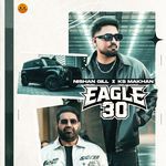 Eagle 30