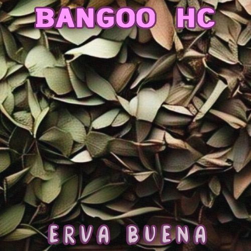 Erva Buena cover art