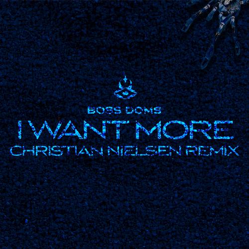 I Want More (feat. Kyle Pearce) (Christian Nielsen Remix)_poster_image