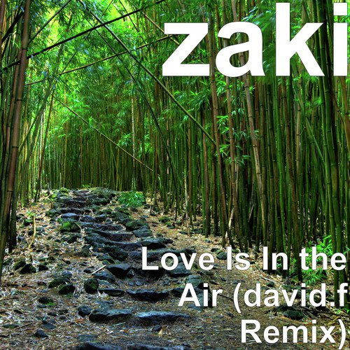 Love Is In the Air (david.f Remix)_poster_image