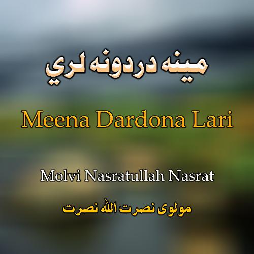 Meena Dardona Lari