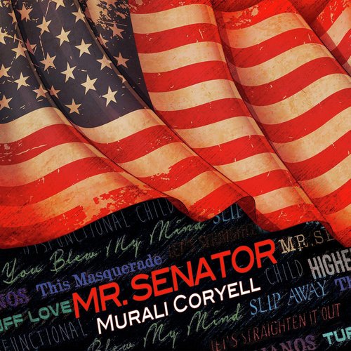 Mr. Senator_poster_image