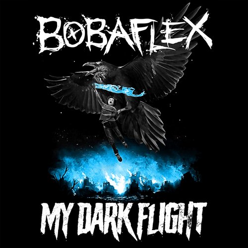 My Dark Flight_poster_image