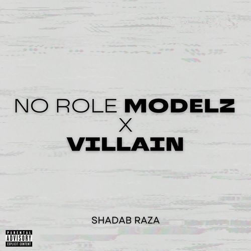 No Role Modelz x Villain