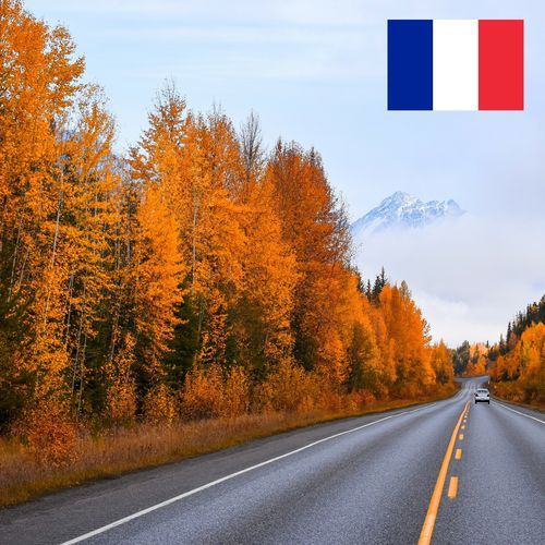 Oiseaux des Bois près d'une Route à la Fin de l'Eté