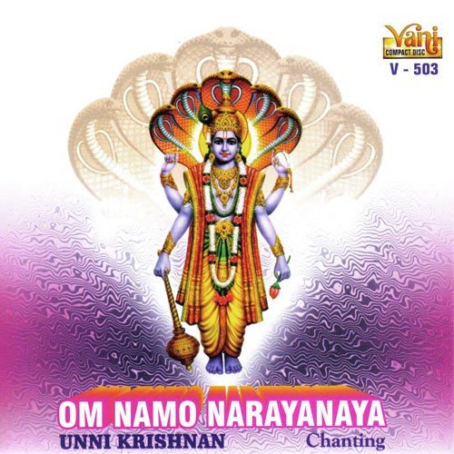 om namo narayanaya written in sanskrit