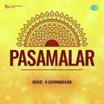 Pasamalar