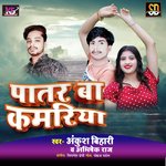Patar Ba Kamriya (Bhojpuri Song)
