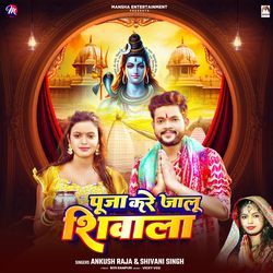 Puja Kare Jalu Shivalay-HCBZXTVZaEY