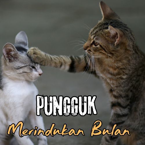 Pungguk merindukan Bulan_poster_image