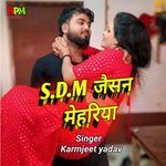 SDM Jaisan Mehariya artwork