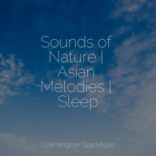 Sleepy Head cover art