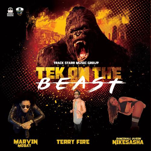 Tek on the Beast (feat. Terry Fire & Dhq Nickeisha)