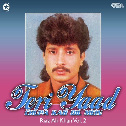 Teri Yaad Chupa Kar Dil Mein, Vol. 2_poster_image