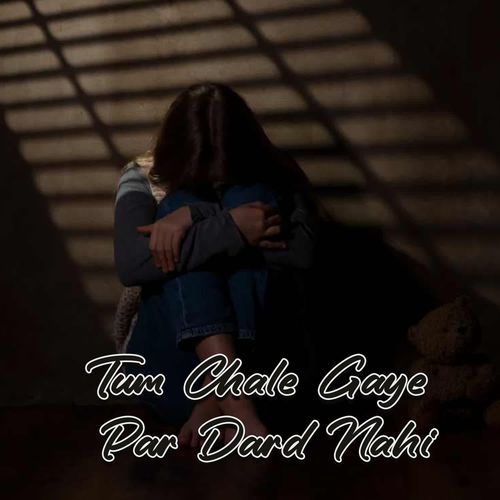 Tum The, Par Apne Nahi