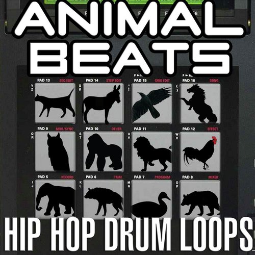 Funny Hip Hop Hawk cover art