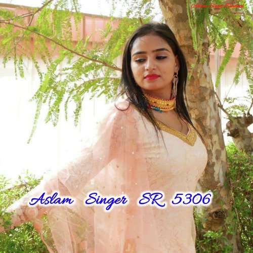 Aslam Singer SR 5306