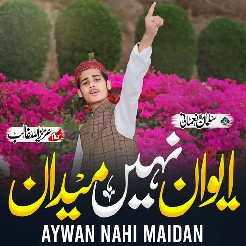 Aywan Nahi Maidan