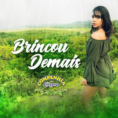 Brincou Demais_poster_image