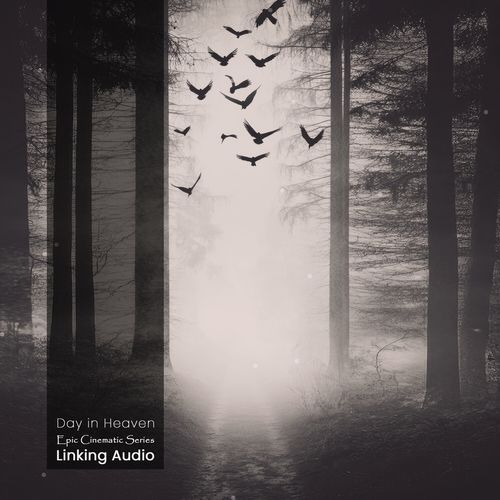 King on the Front cover art