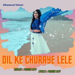 Dil Ke Churaye Lele (Nagpuri)