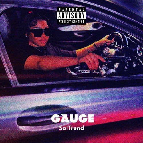 Gauge cover art