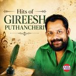 Ariyathe Ariyathe (Duet) (from "Ravanaprabhu (Original Motion Picture Soundtrack)") artwork