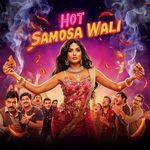 Hot Samosa Wali