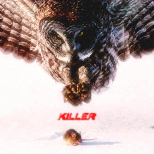 KILLER cover art