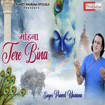 Mohna Tere Bina (Punjabi)