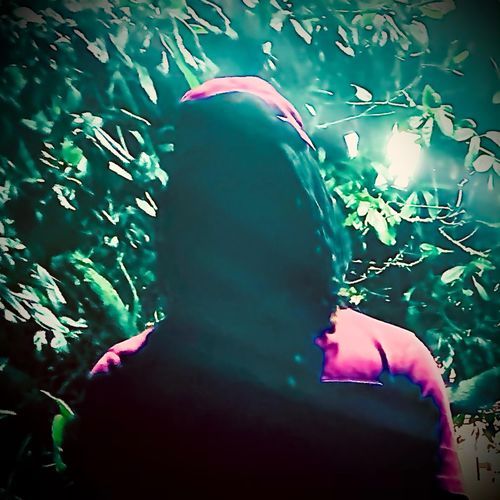 Scammer cover art
