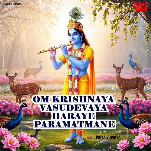 Om Krishnaya Vasudevaya Haraye Paramatmane